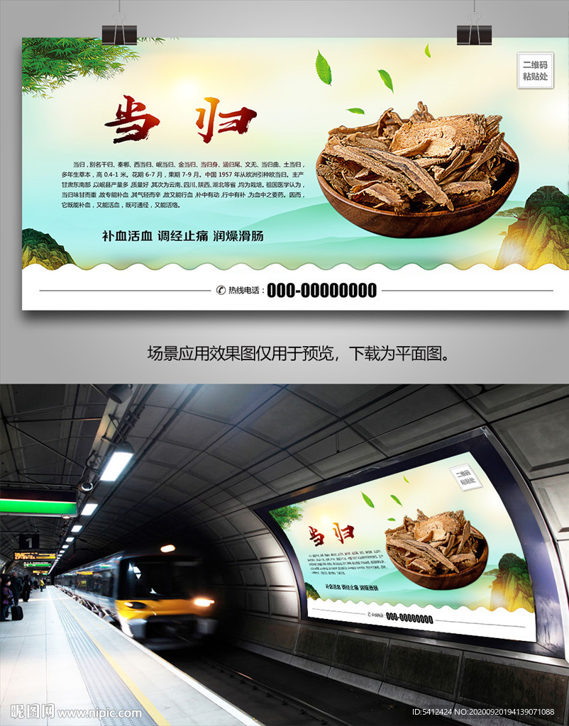 中药材当归海报灯箱展板展架挂画