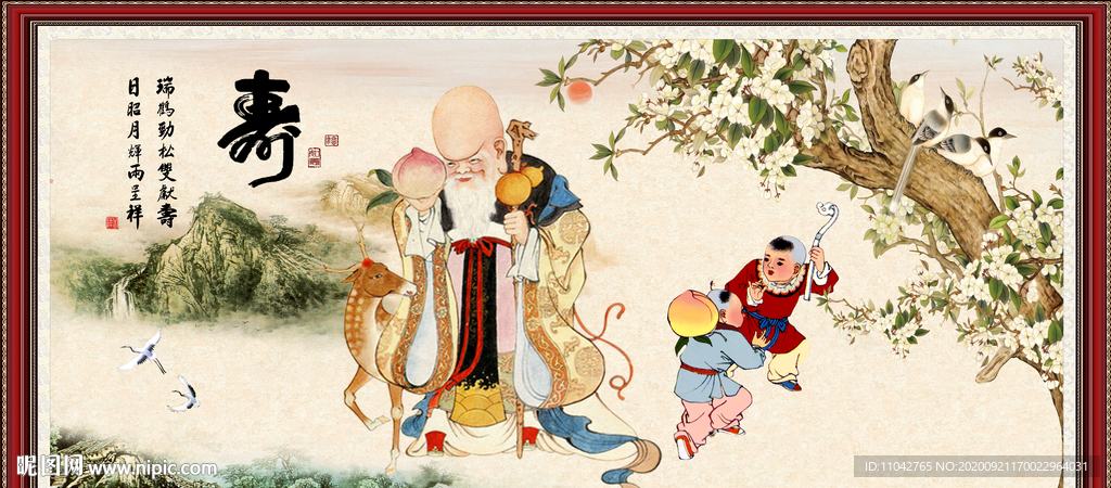 老寿星  南极仙翁