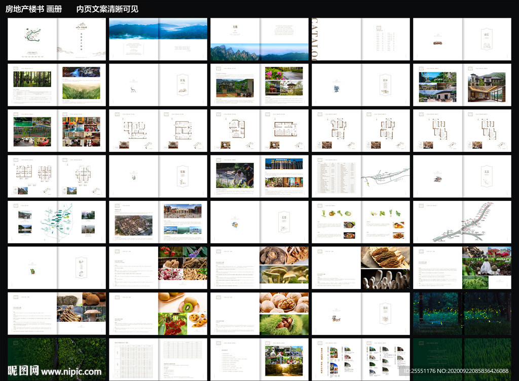 房地产楼书画册