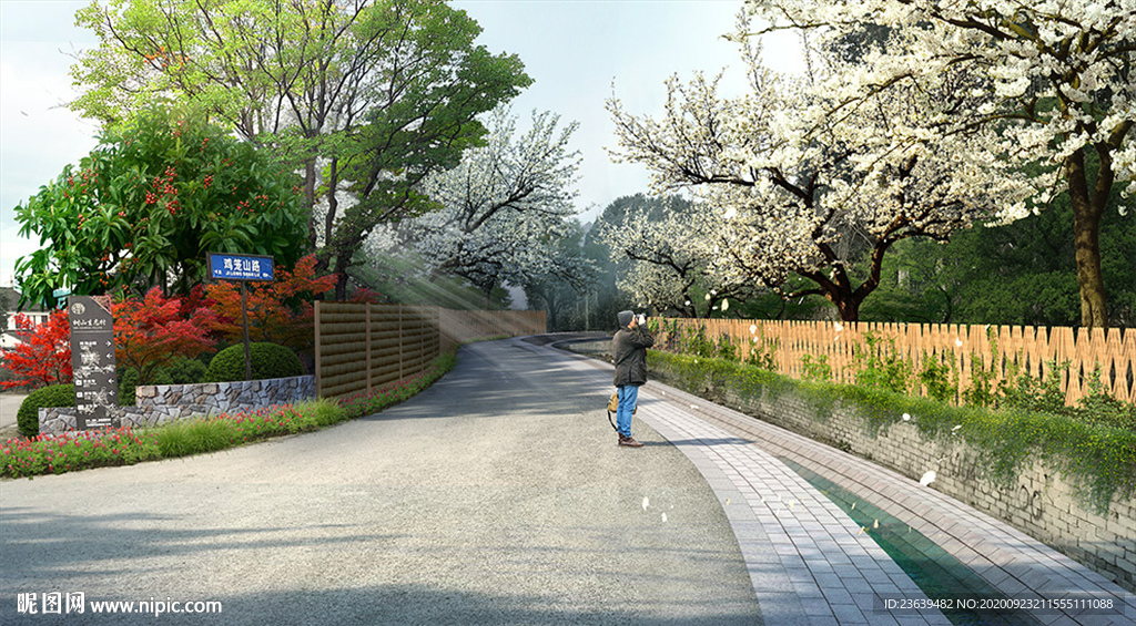 乡村道路改造绿化 效果图