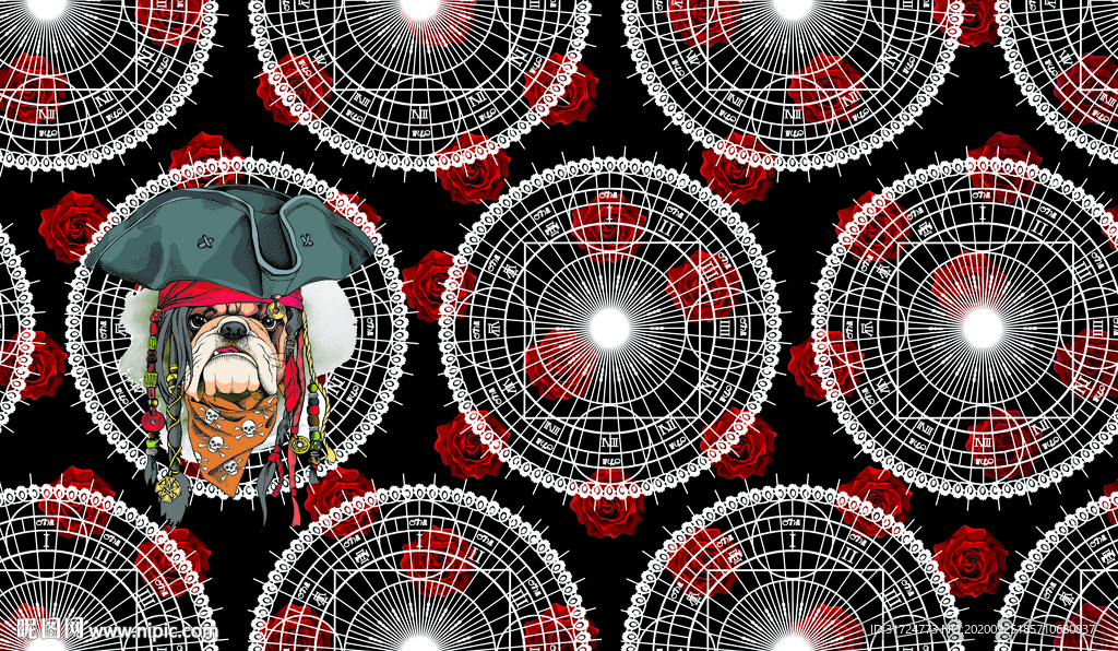 大牌 数码印花 女装 新款