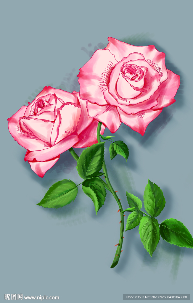 手绘玫瑰花插画