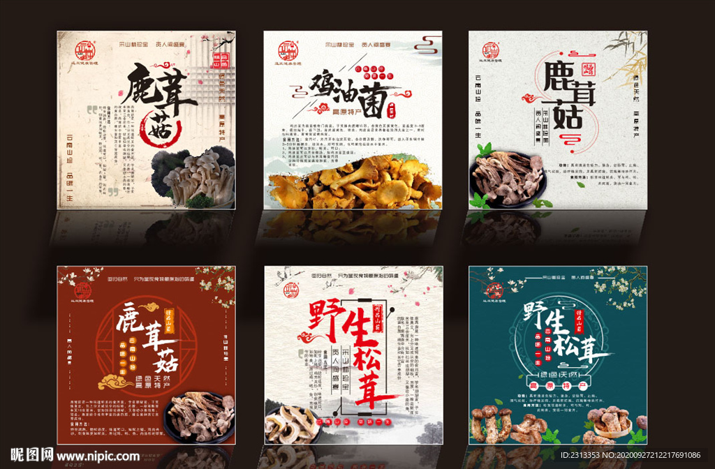 野生松茸菌类菇类海报