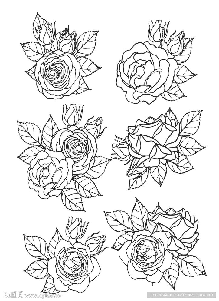 玫瑰花线性矢量图