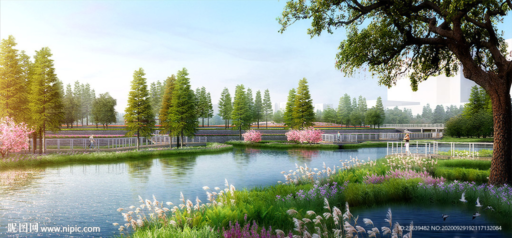 湿地公园城市景观效果图