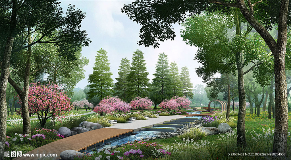 生态湿地雨水花园景观效果图