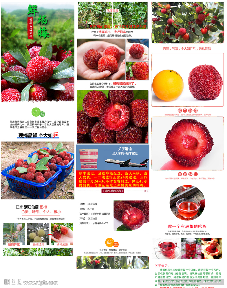 杨梅电商详情