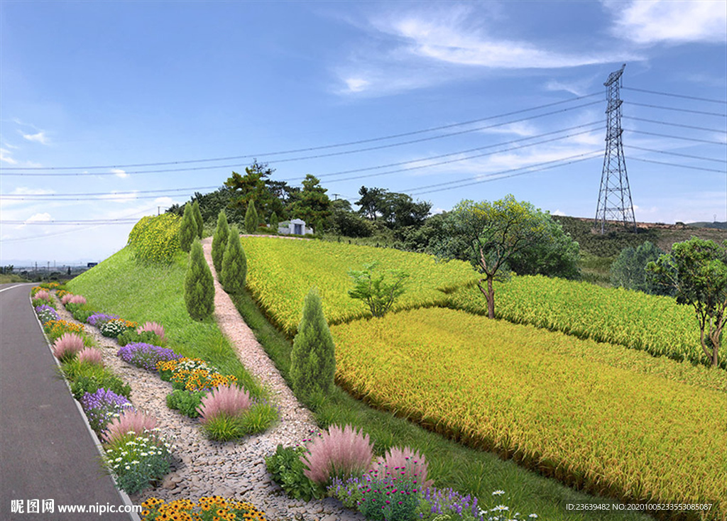 乡村道路改造效果图