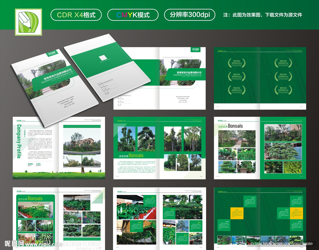 花卉画册 植物画册 盆景画册