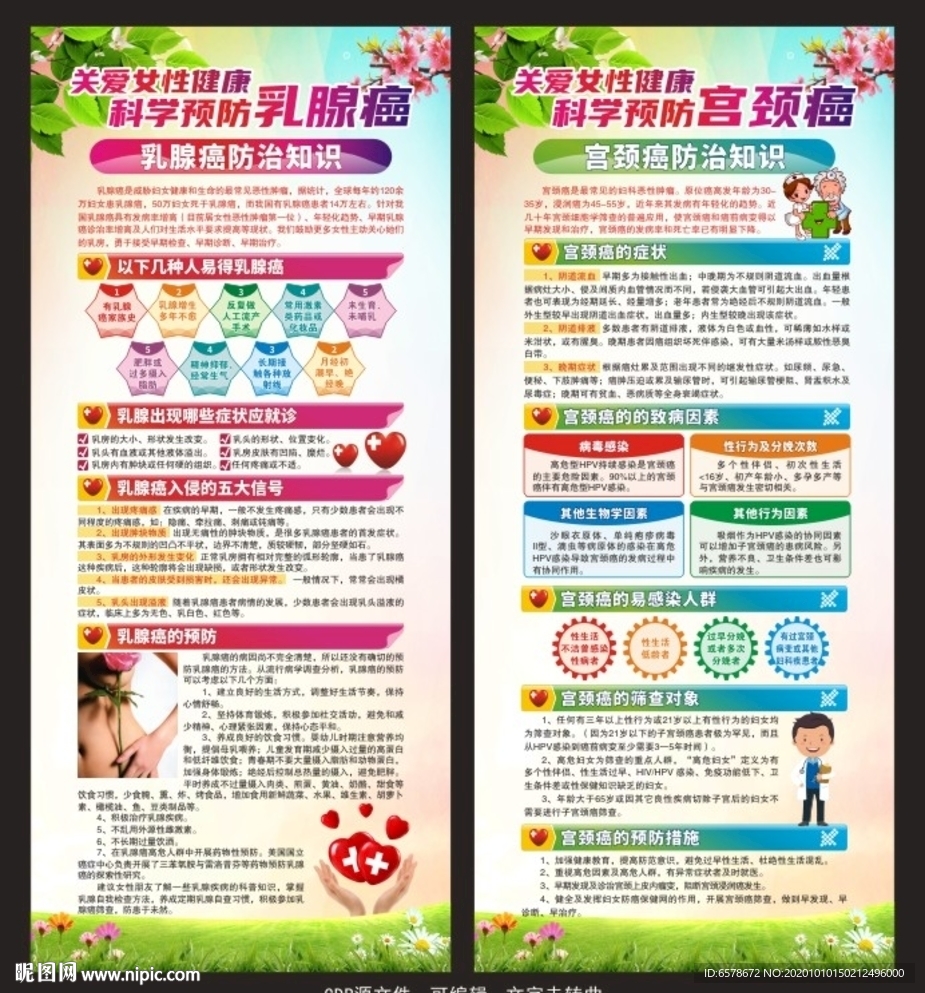 乳腺癌宫颈癌X展架