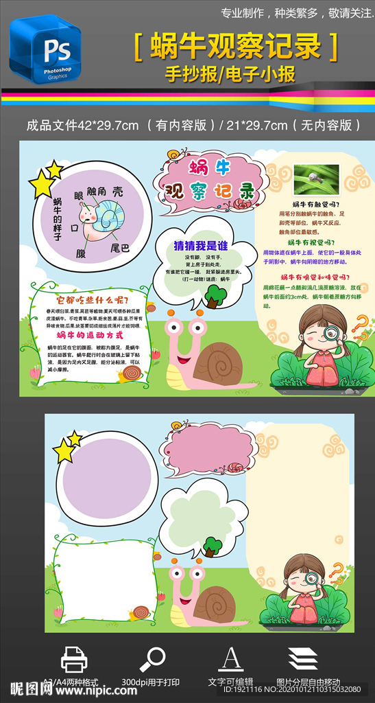 蜗牛观察日记记录手抄报小报