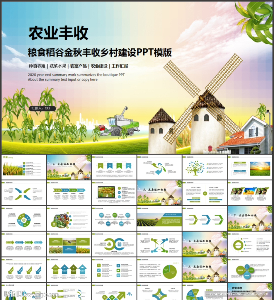 稻田水稻大米农业丰收PPT模板