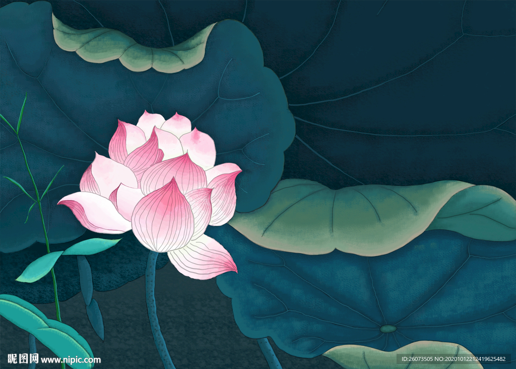 工笔荷花粉色荷花荷叶莲花