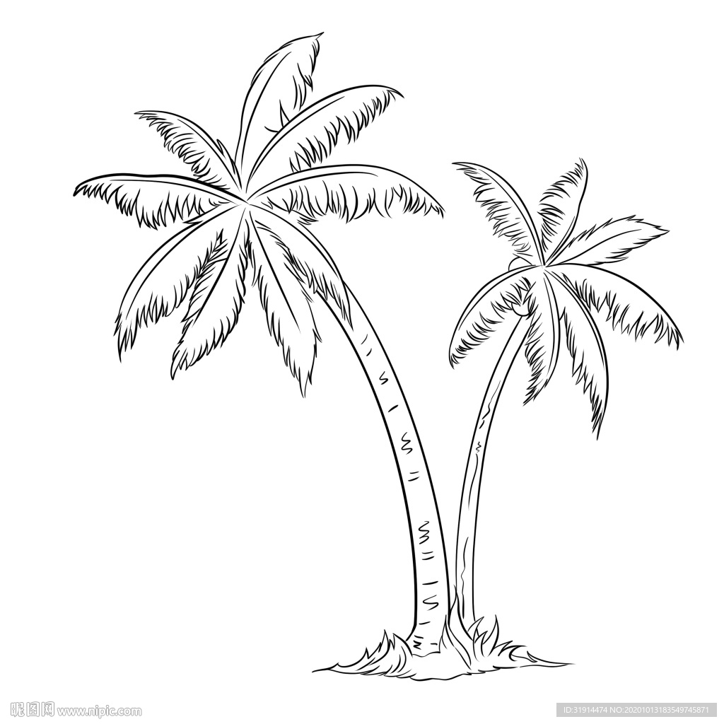 手绘线条椰子树