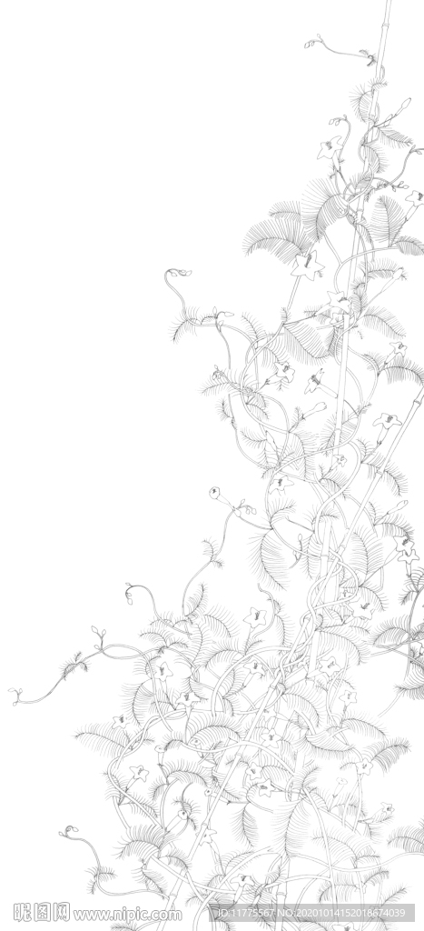 线描 手绘 插画 原创 野草