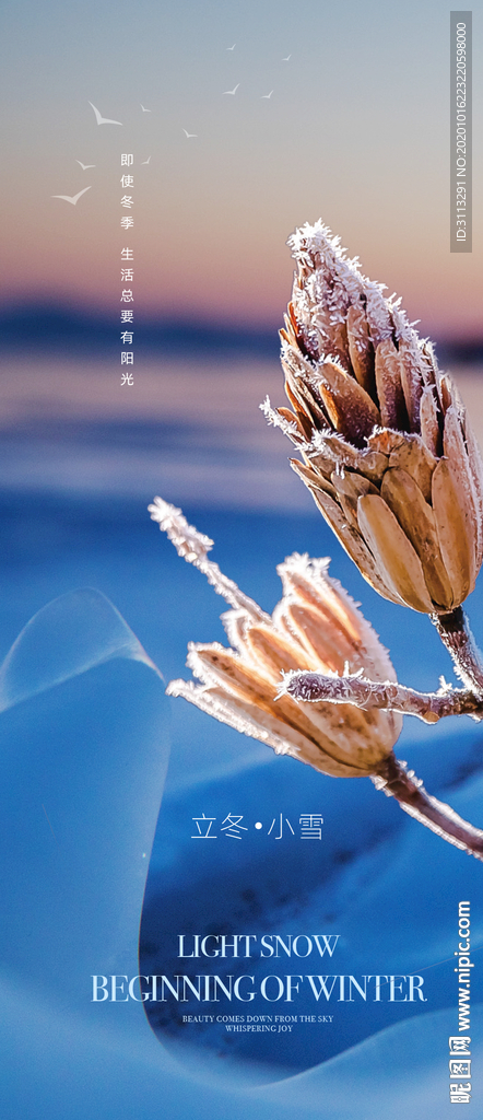二十四节气系列海报