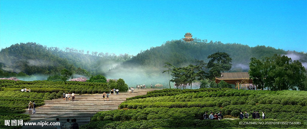 生态茶园梯田景观效果图