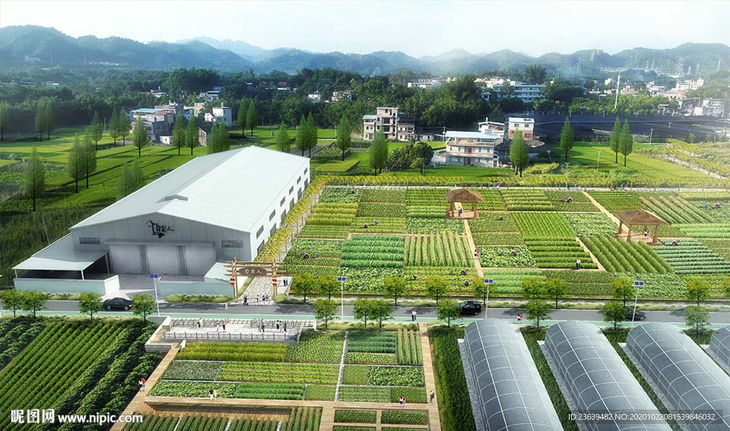 农业示范区规划效果图