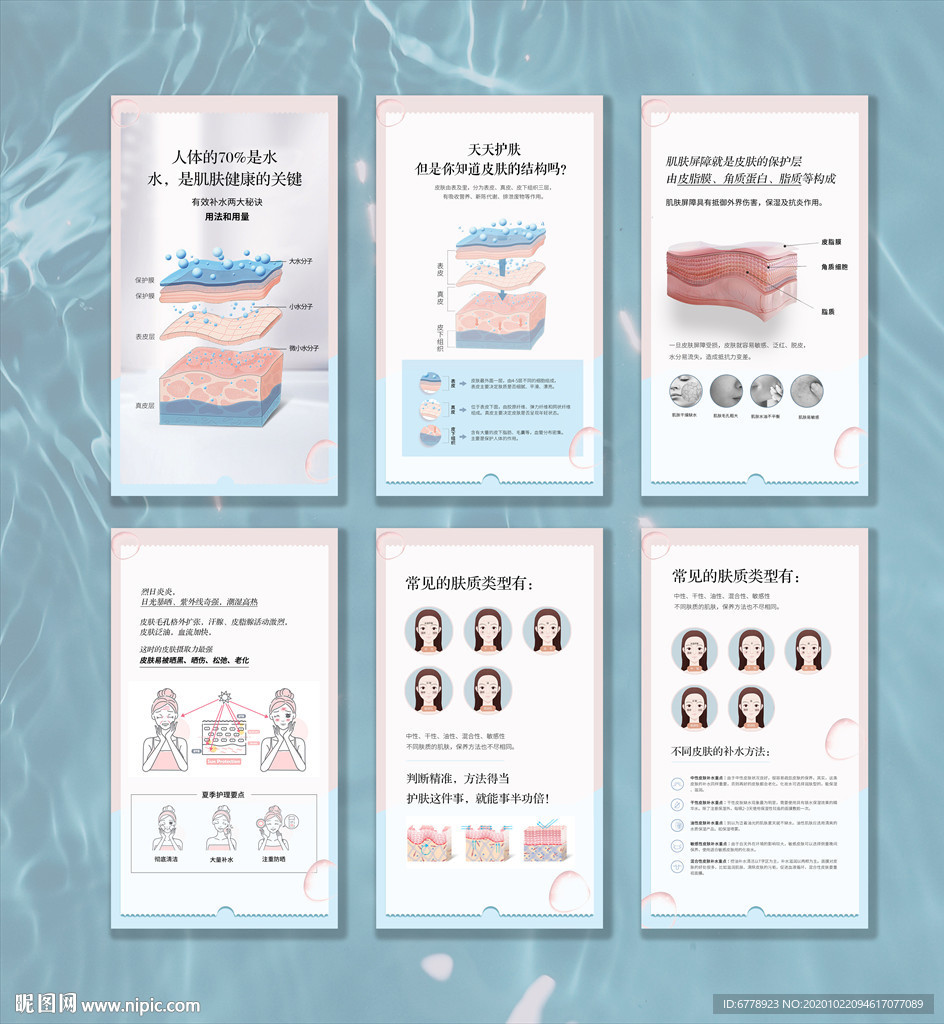 皮肤知识结构及类型