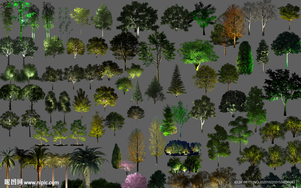 亮化夜景树齐全的分层素材