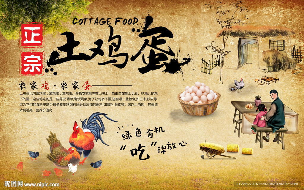 农家鸡蛋背景墙