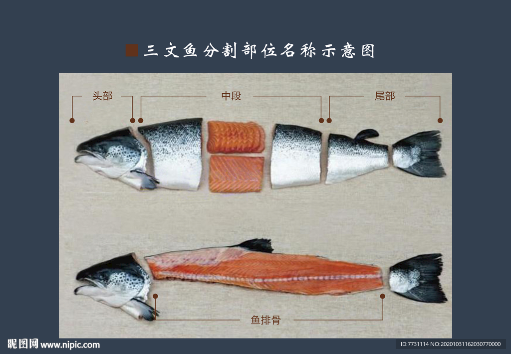 三文鱼分割部位名称图
