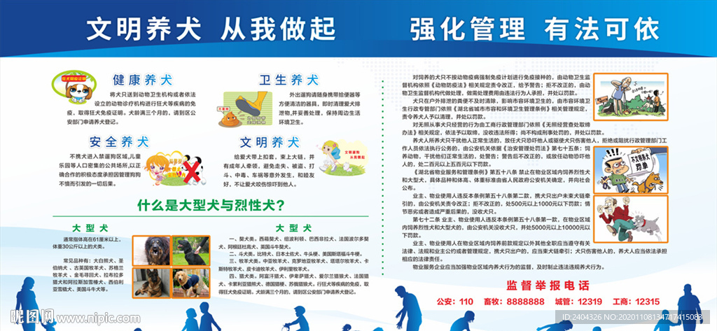 文明养犬 从我做起