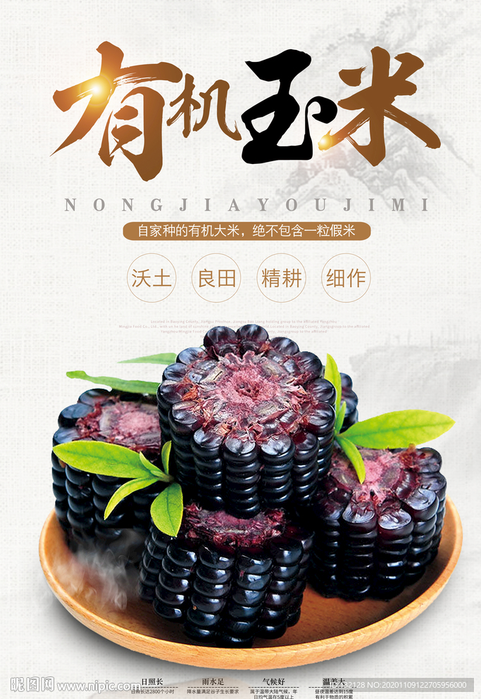 黑玉米海报 有机黑玉米 黑色玉