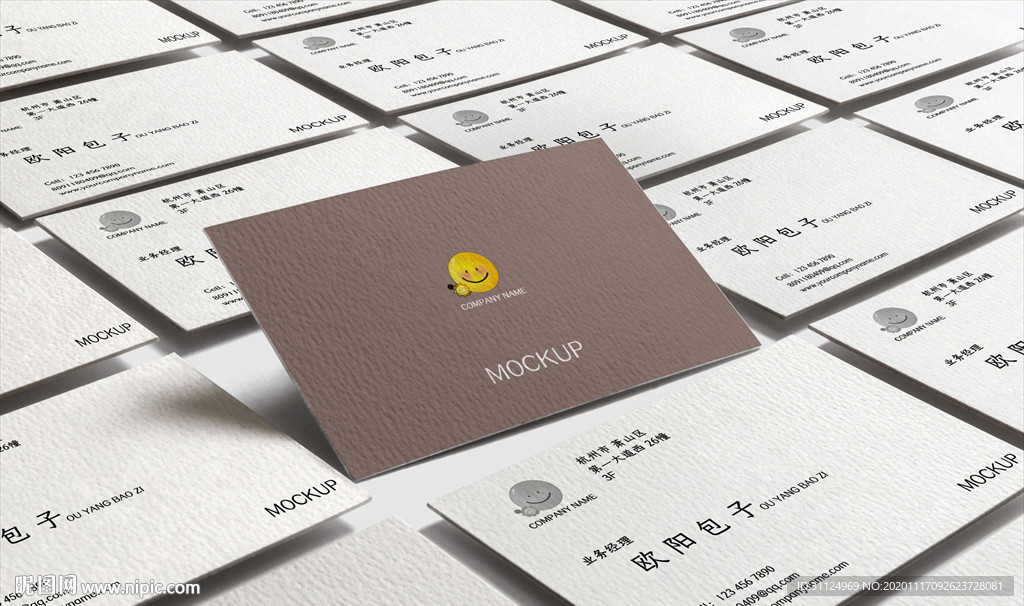 公司企业VI名片智能样机