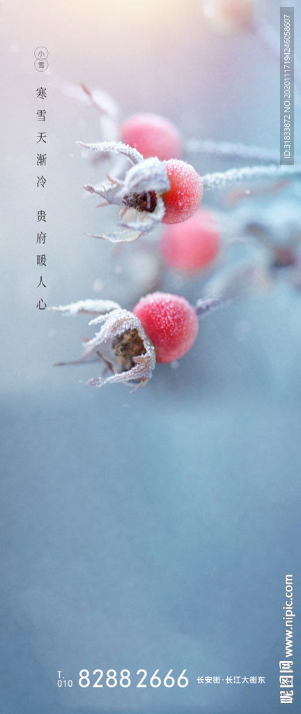 小雪