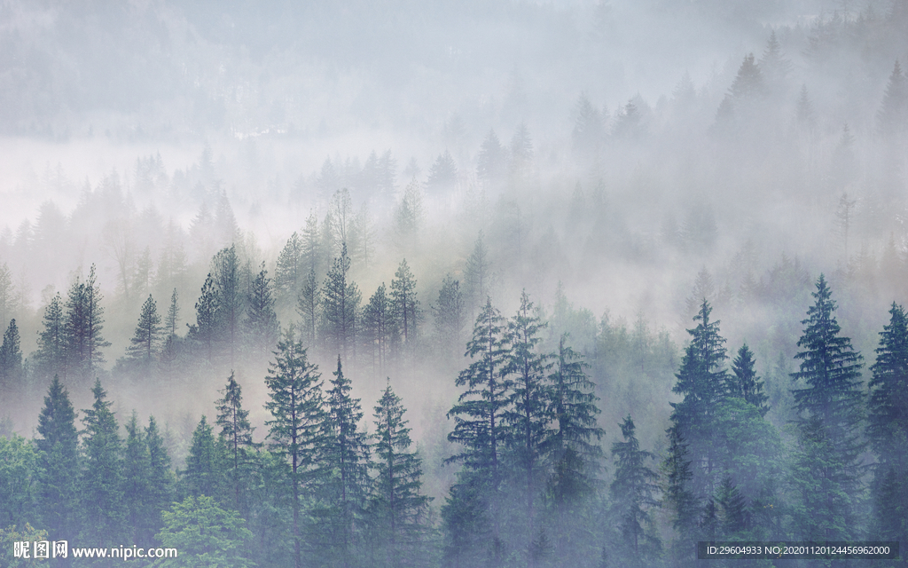 森林轻奢新无框画 tif分层