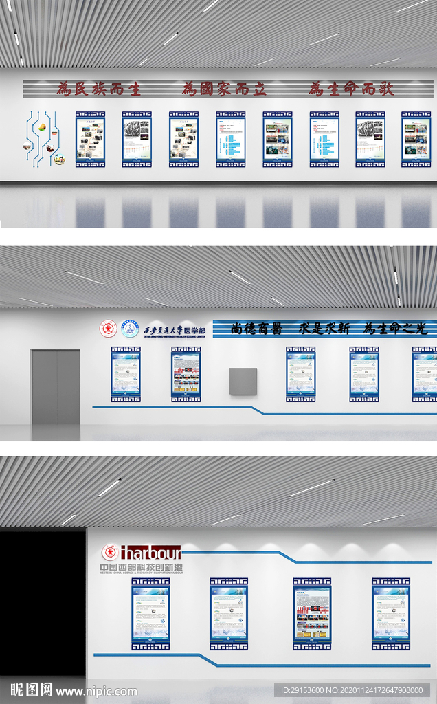 医学走廊文化墙