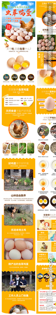 虫草鸡蛋土鸡蛋商品详情页