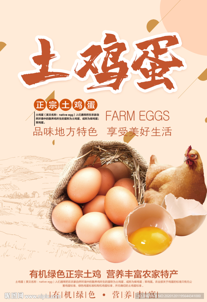 土鸡蛋海报 土鸡蛋促销