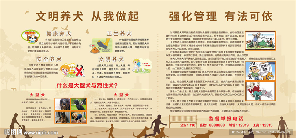 文明养犬 从我做起