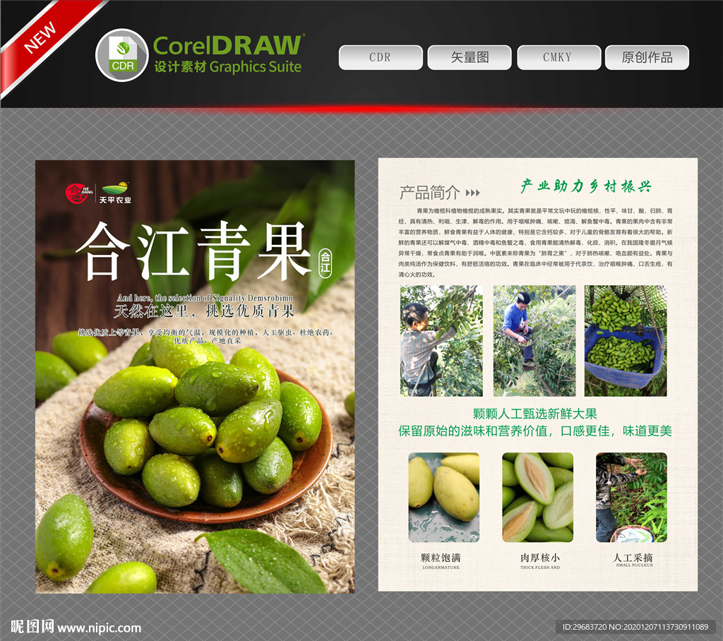 青果传单 橄榄传单