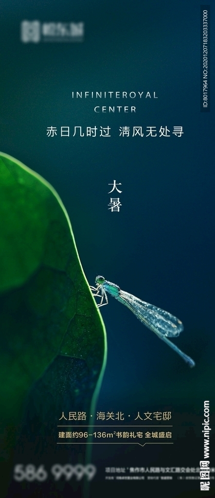 夏至 小暑 大暑 立秋 处暑