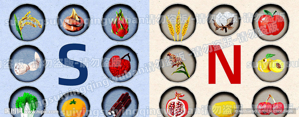 南北农作物对比插画