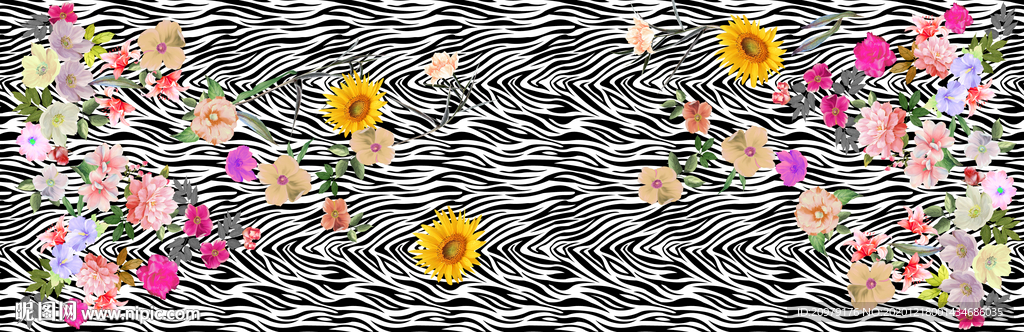 定位花 斑马纹 菊花 新花型