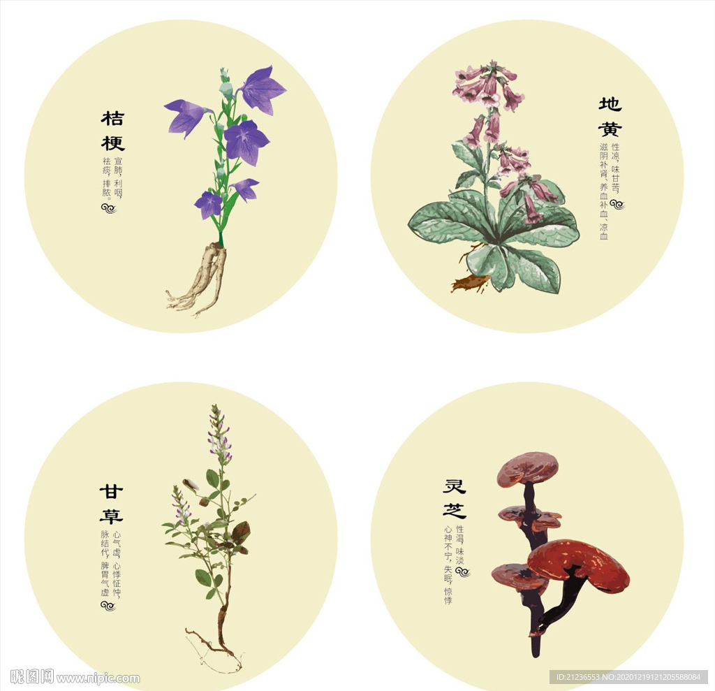 灵芝 桔梗 地黄 甘草中药矢量