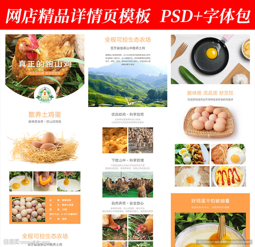 鸡蛋食品淘宝拼多多详情页模版