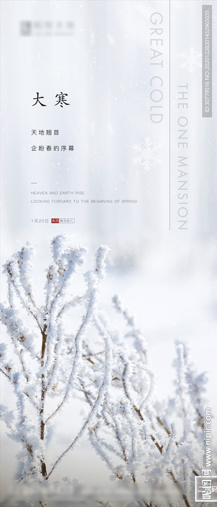 简约房地产大寒节气海报刷屏