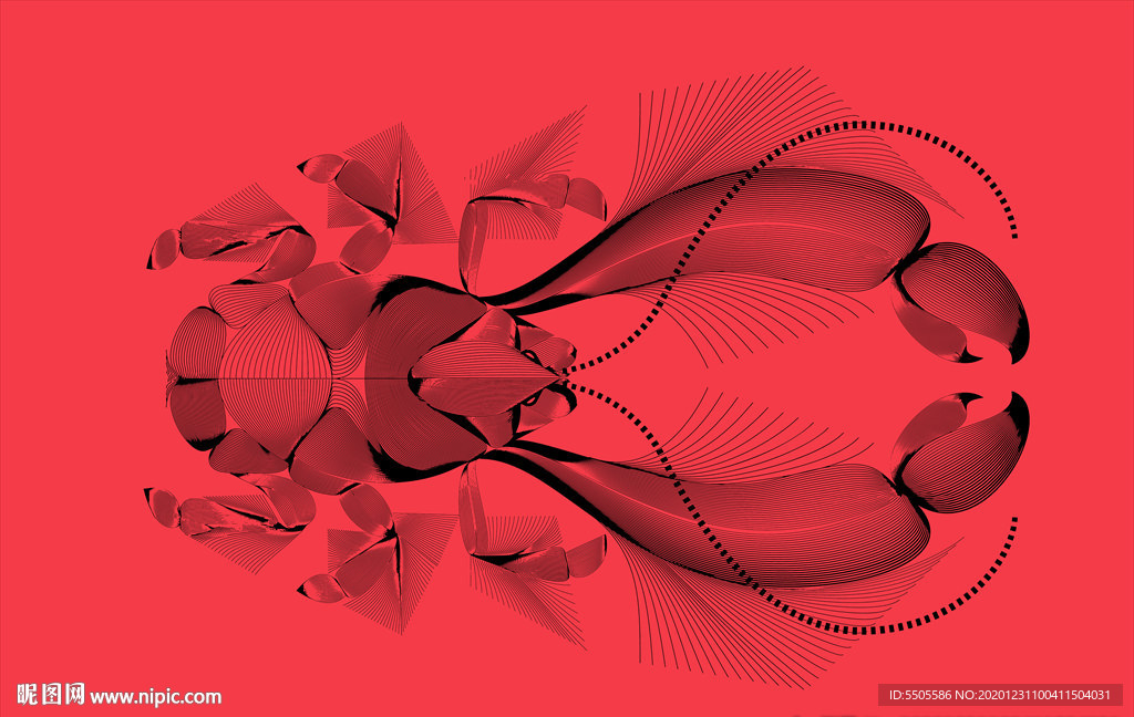 帝王虾  条纹线条  抽象虾