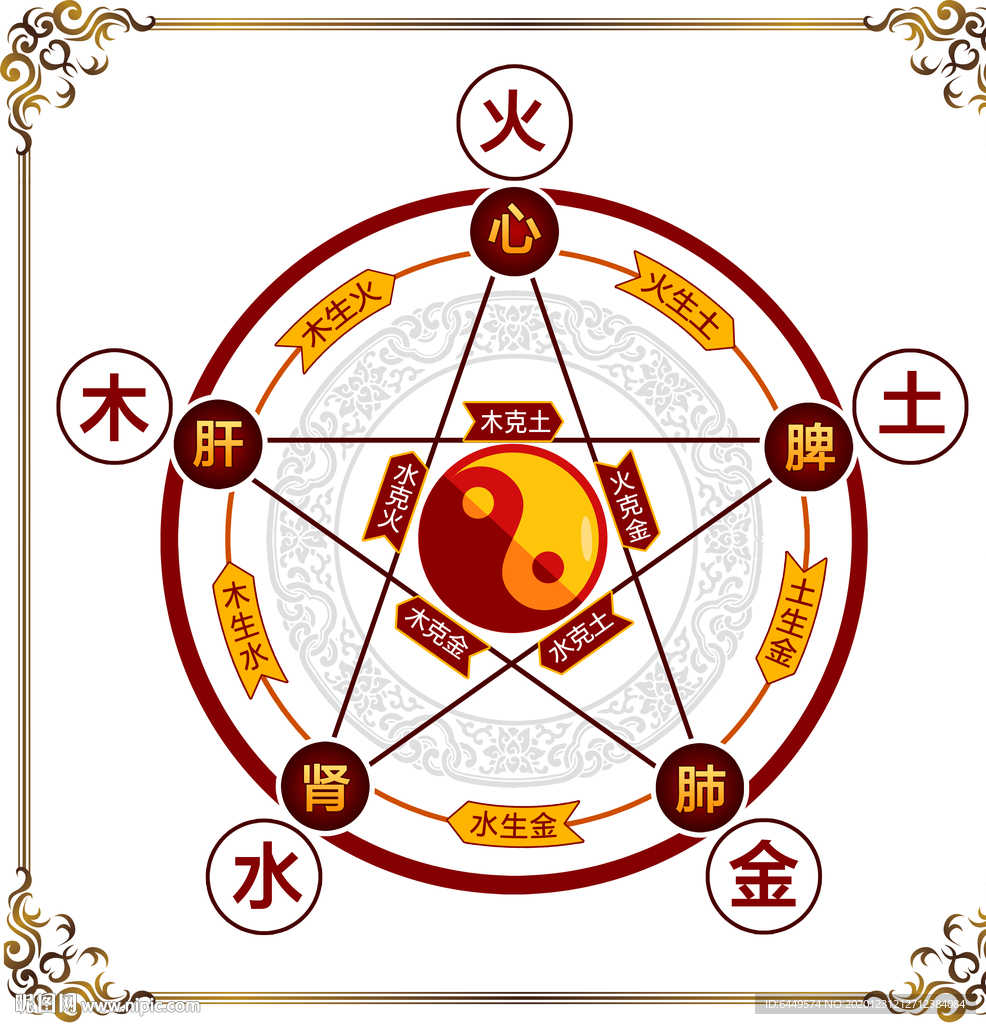 中医五行五脏高清版