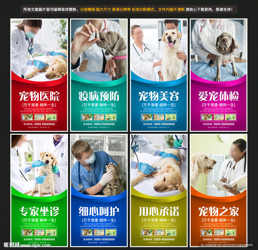 宠物医院 宠物店