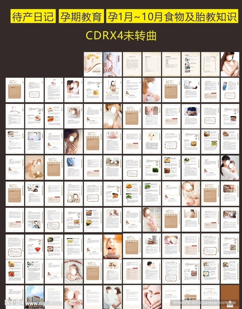 孕期1月~10月食物及胎教知识