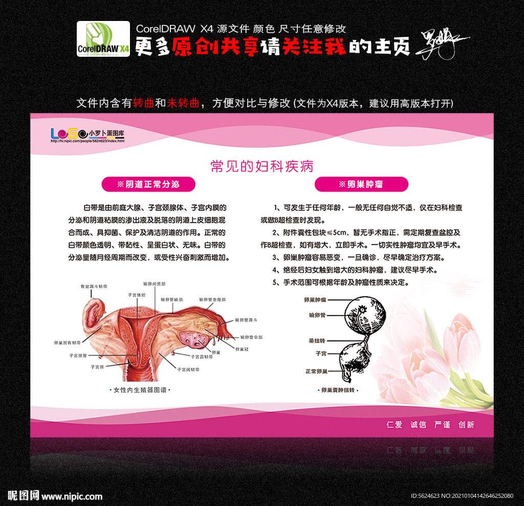 妇科疾病 卵巢肿瘤 阴道炎