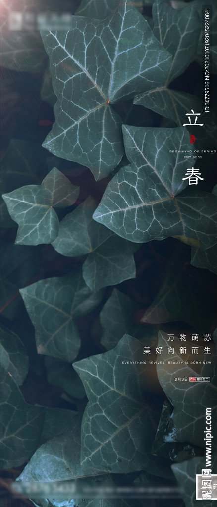 简约房地产立春春分节气海报