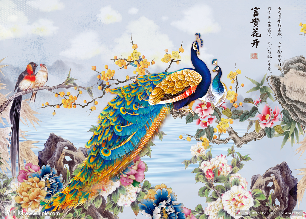 家和富贵孔雀背景