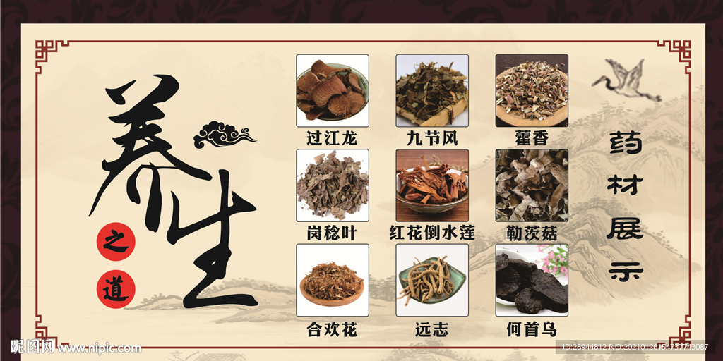 养生之道-中药